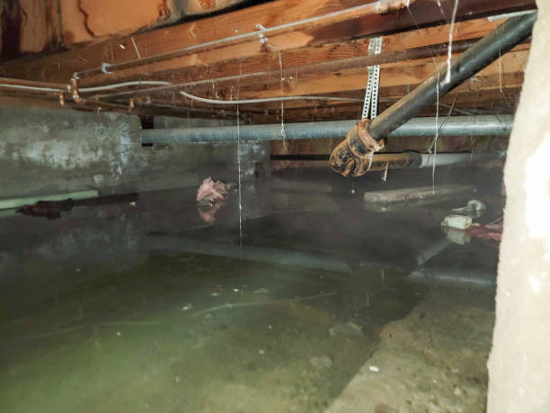 Best Commercial water damage restoration  in New Holland, PA