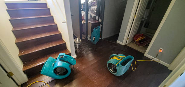 Best Local water damage restoration  in New Holland, PA