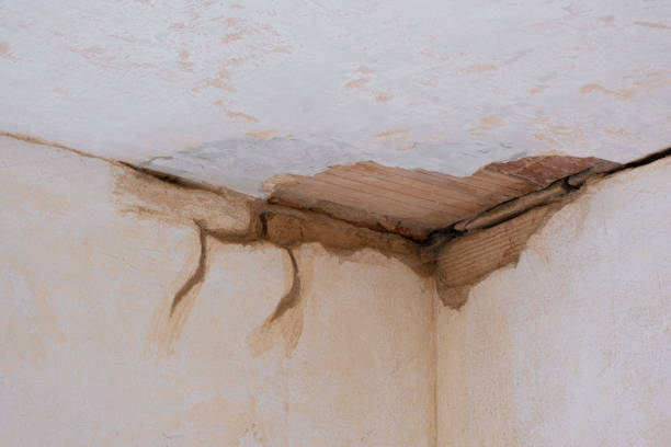 Best Professional water damage repair  in New Holland, PA