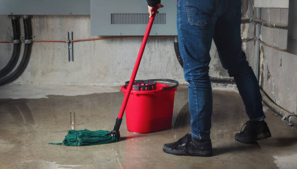Best Residential water damage restoration  in New Holland, PA