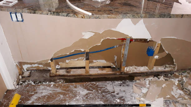 Best Water damage cleanup near me  in New Holland, PA