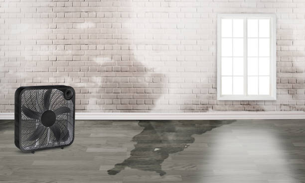 Best Emergency water damage restoration  in New Holland, PA