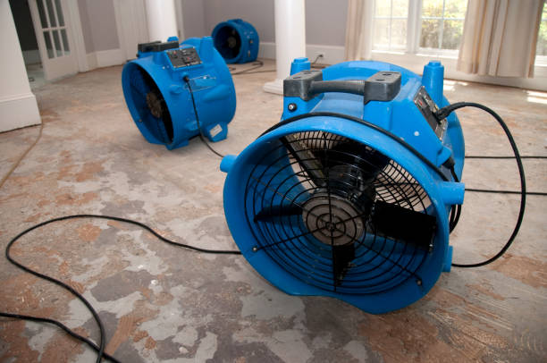 Best Mold removal after water damage  in New Holland, PA