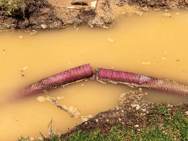 Best Carpet water damage restoration  in New Holland, PA