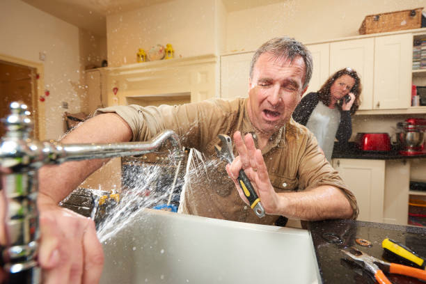 Best Flood damage cleanup  in New Holland, PA